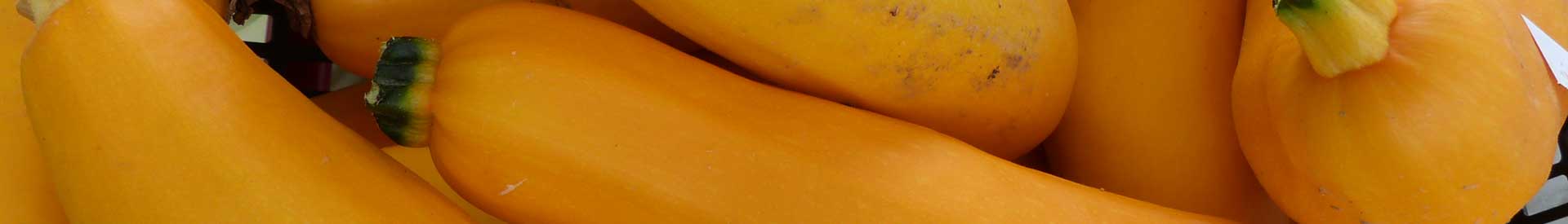 courgette-gold_rush-1.jpg